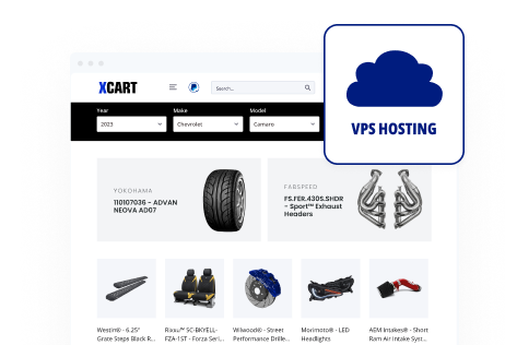 Professional VPS Hosting